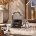 Styleva Heavy Steel 70mm padlock with polished silver finish and three keys.