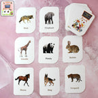 Box containing 32 durable and laminated animal flash cards for toddlers