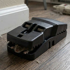 Heavy duty reusable mouse trap for pest removal