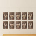 Transparent adhesive wall hook for hanging small items