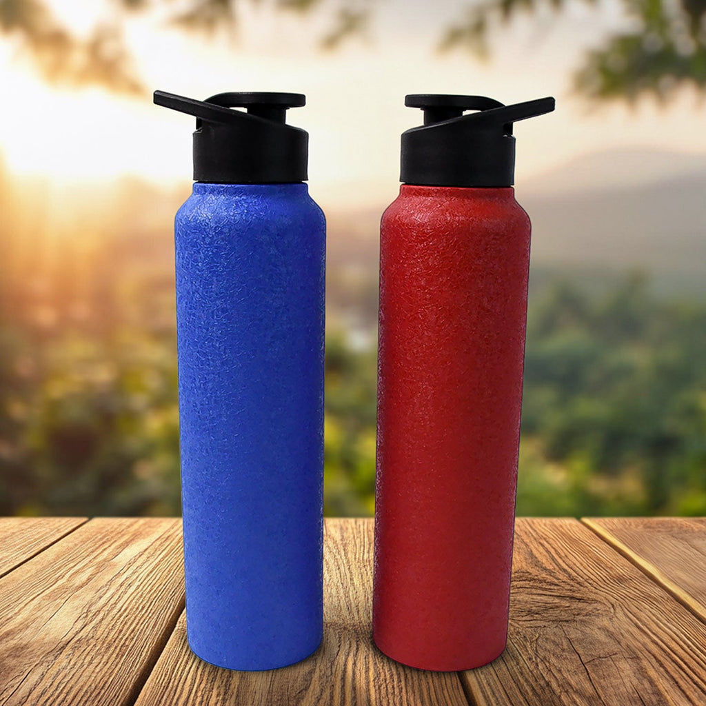 Stainless steel water bottle with FrostFlow design in mix colors