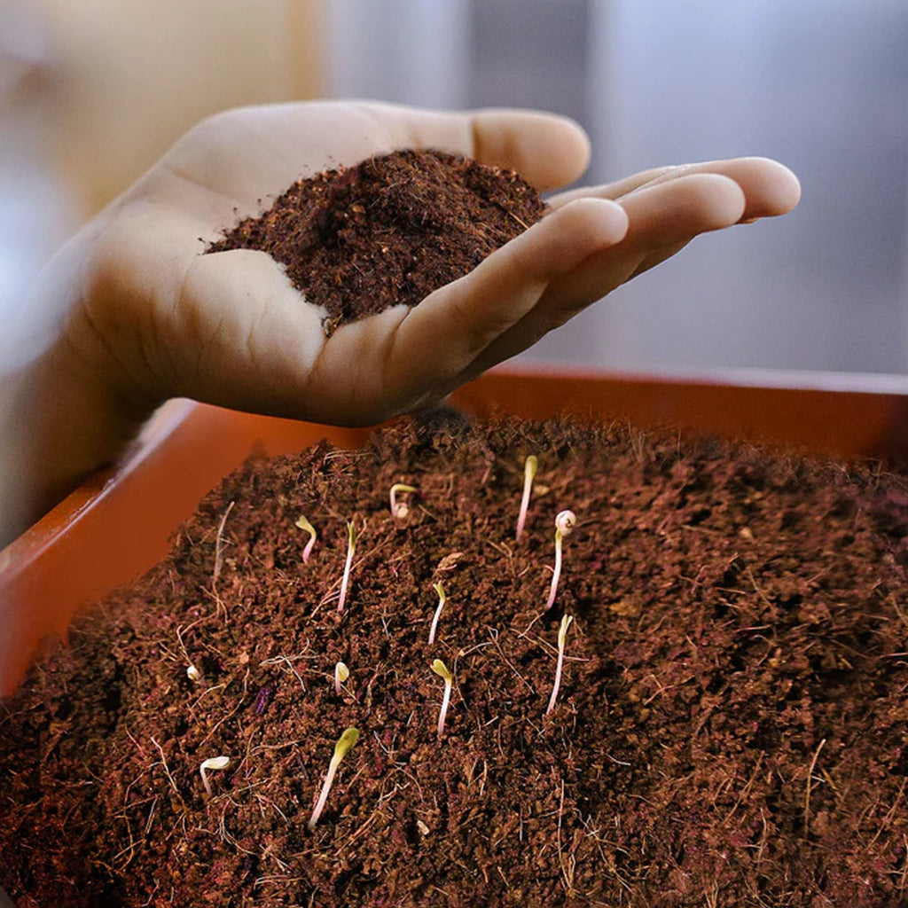 Organic Cocopeat Block, eco-friendly soil amendment for plant growth.