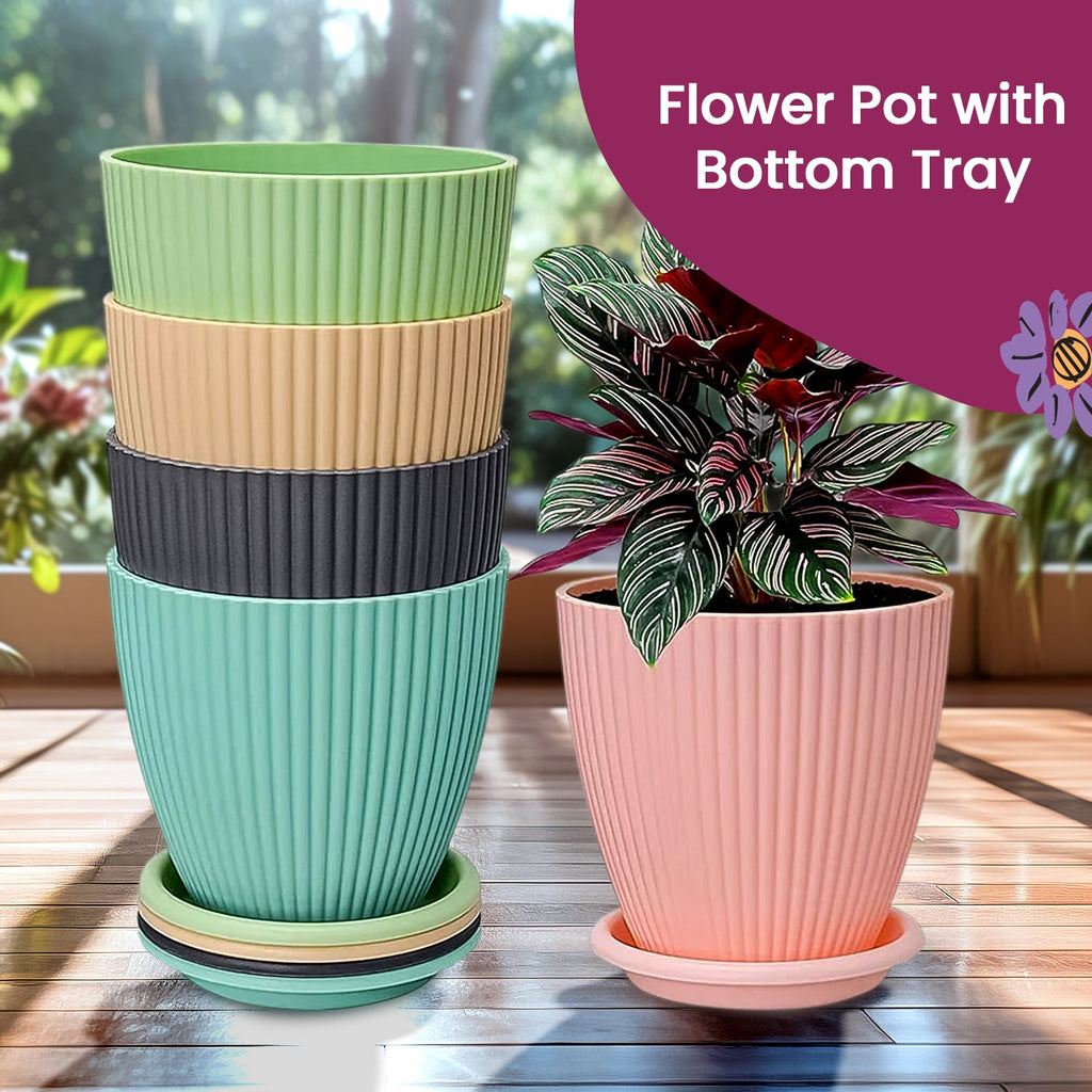 A plant thriving in a black plastic flower pot, ideal for both indoor and outdoor settings.