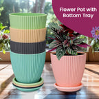 A plant thriving in a black plastic flower pot, ideal for both indoor and outdoor settings.