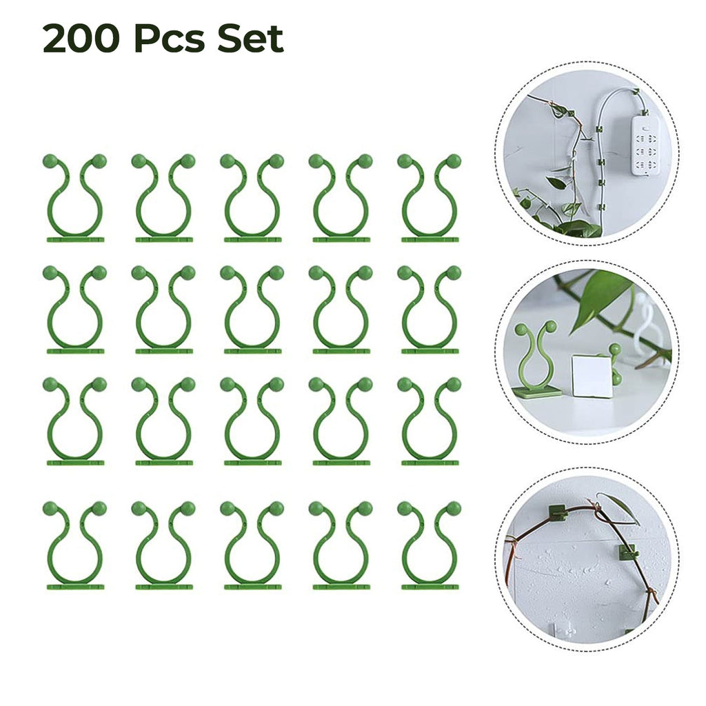Multiple plant climbing clips supporting a growing vine on a textured wall.