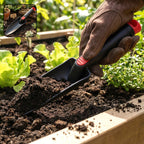 Durable hand garden trowel with scoop blade for easy soil transfer