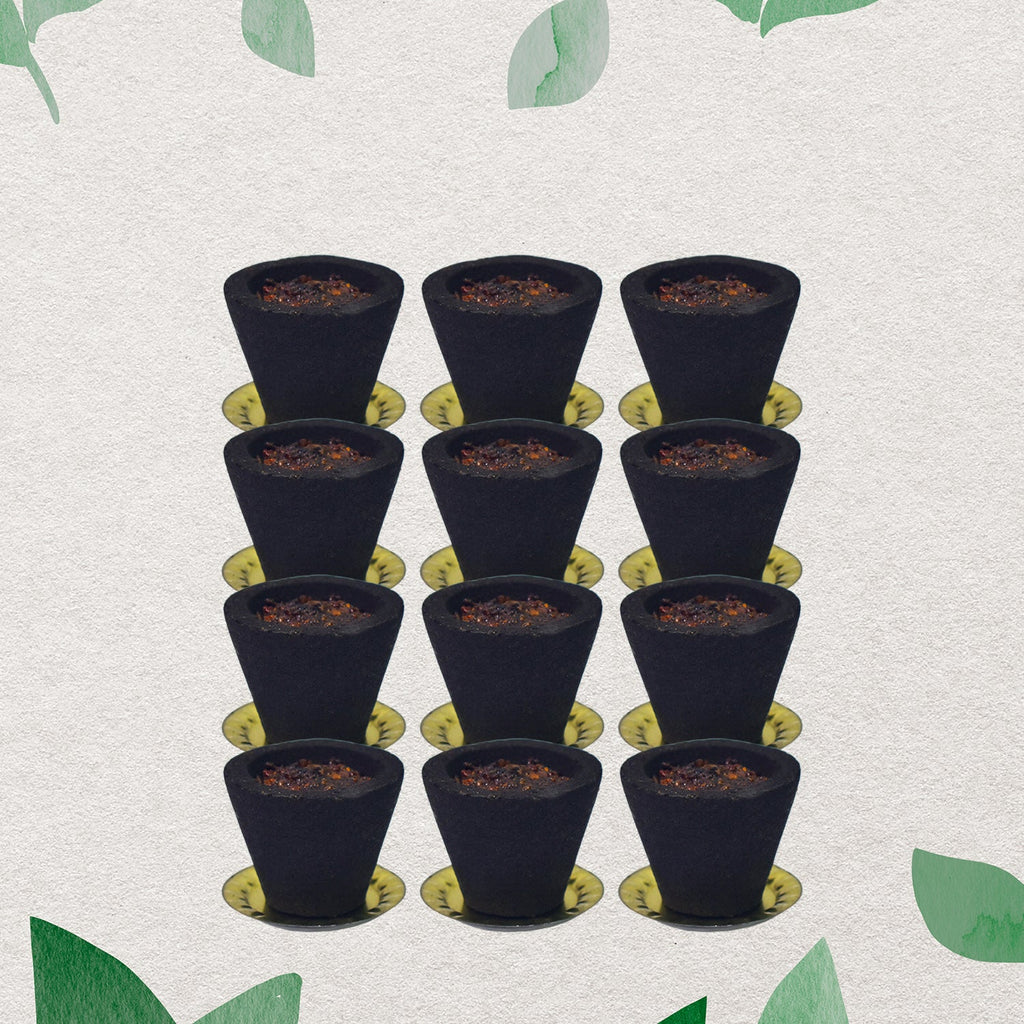 Complete set of Gugal Sambrani Havan cups with a complimentary burning holder.