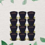 Complete set of Gugal Sambrani Havan cups with a complimentary burning holder.