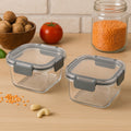 Apex Airtight Food Storage Containers 2pc with press n lock lids