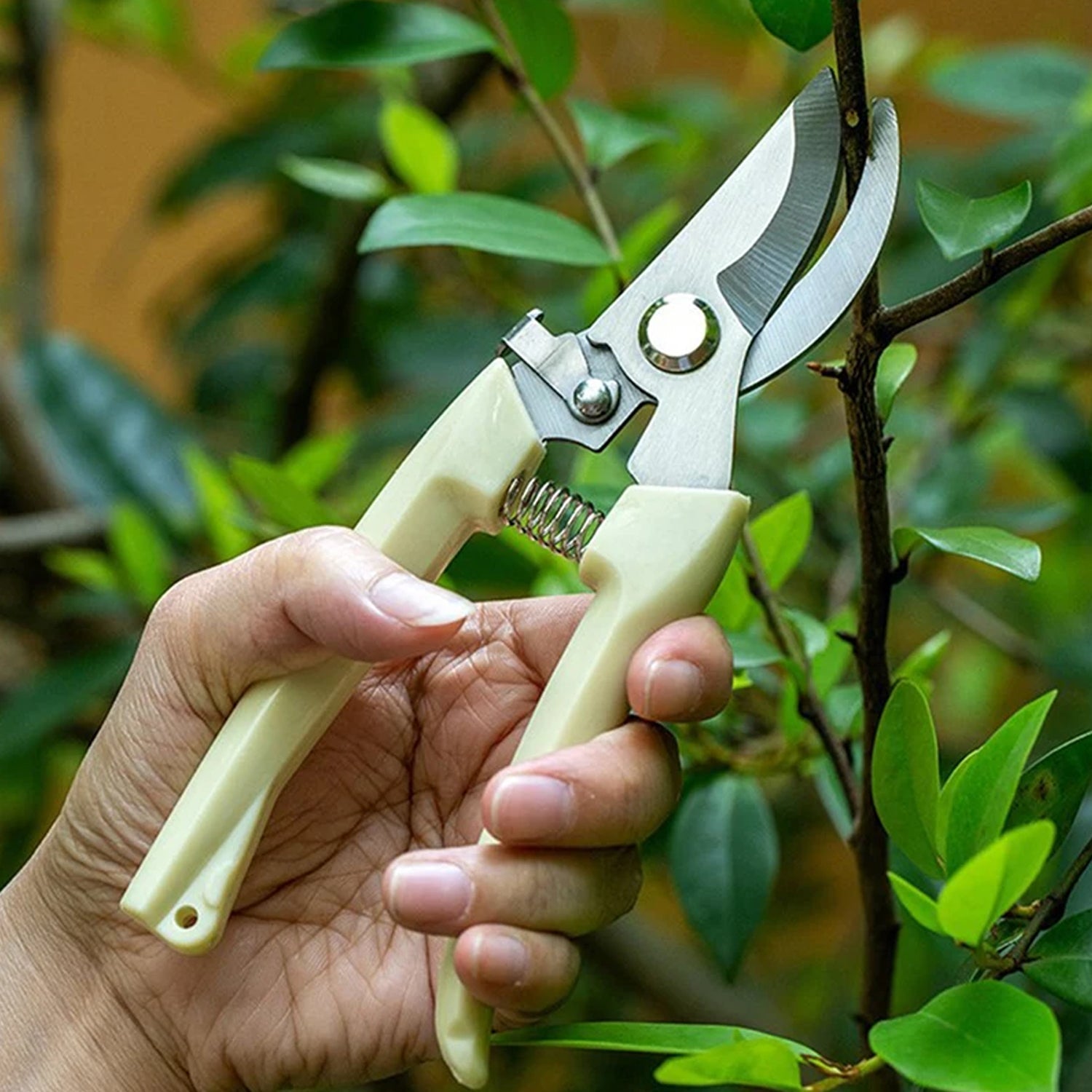 Pruning shears with sharp stainless steel blades and a comfortable handle.