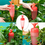 A self watering spike with a transparent body, showing the water level in a plant pot.