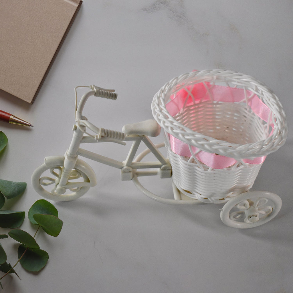 Side view of bicycle flower pot stand holding flowers