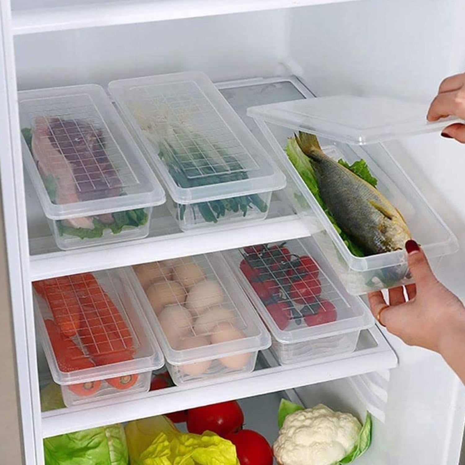 Individual 1500ML freezer storage container with lid and drain plate from Organivo.