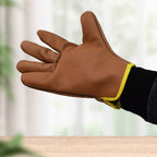 Gardener wearing brown and green leather gloves, tending to plants in a sunny garden.