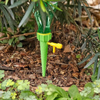 Plant Watering Spike inserted in soil near roots for slow hydration