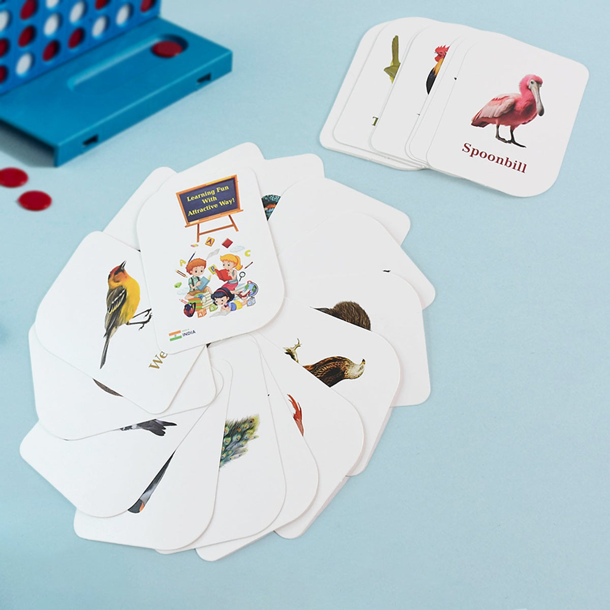 Bird Flashcards set showcasing realistic images of diverse bird species for kids learning