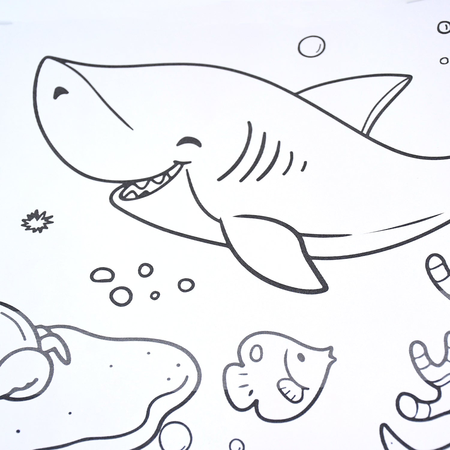 Feature close-up of textured tear-resistant paper on educational coloring roll