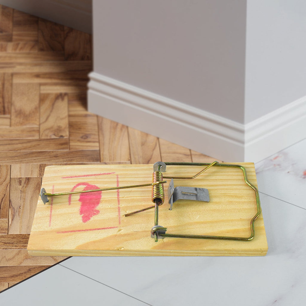 Close-up image of snap force mechanism on wooden mouse trap