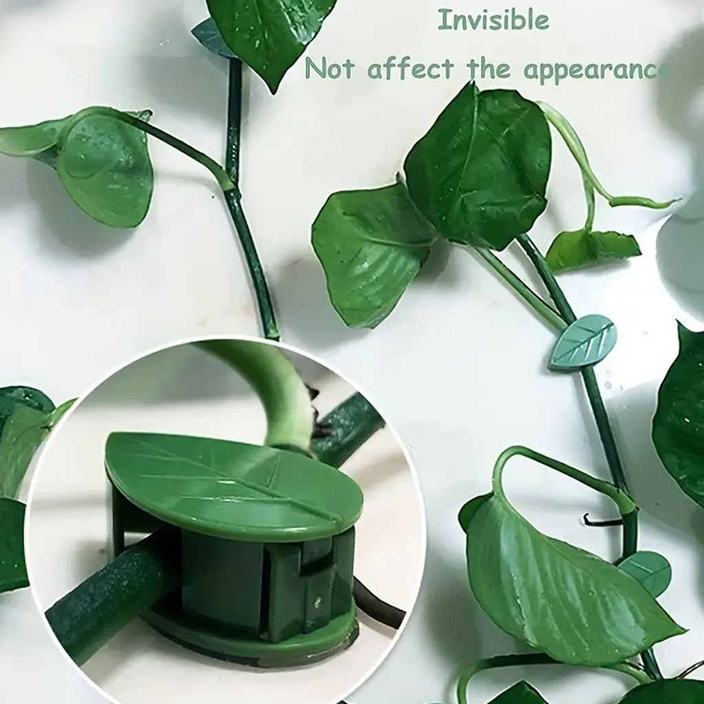 Self-adhesive plant climbing clips blending with green vines on a wall.
