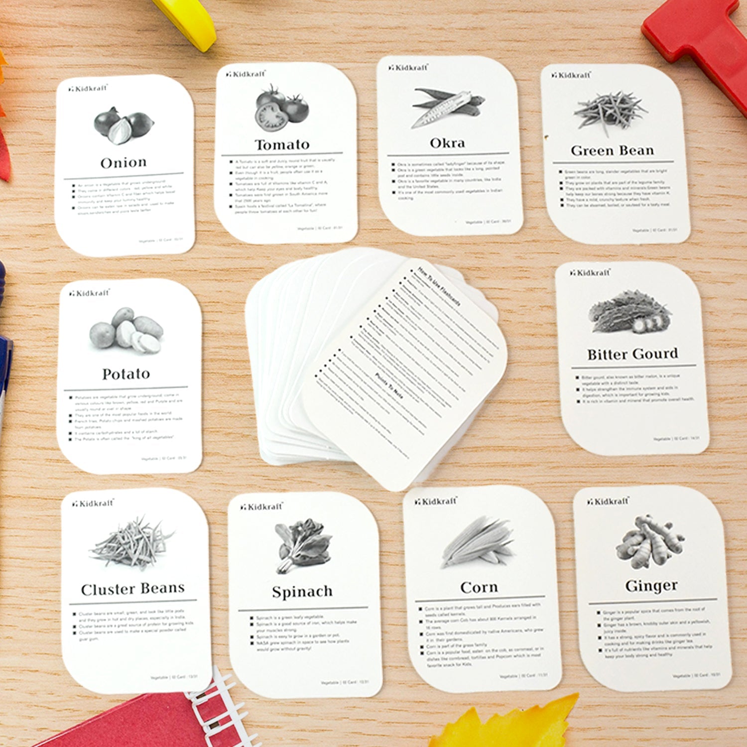 Realistic vegetable flash card showing tomato photo for preschool learning activities