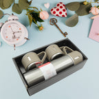 Stainless steel vacuum flask set 500ml with three steel cups included