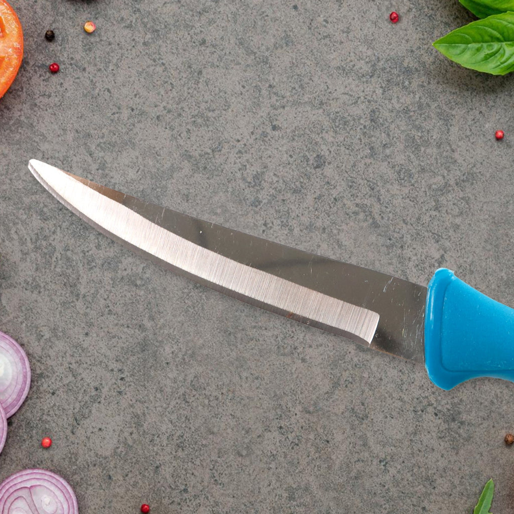 Kitchen knife displaying sharp stainless steel blade and ergonomic handle