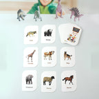 Laminated animal flash cards with safe rounded edges for toddlers