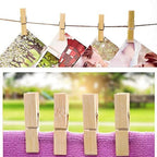 Multipurpose wooden photo clips holding a family picture against a bright background.