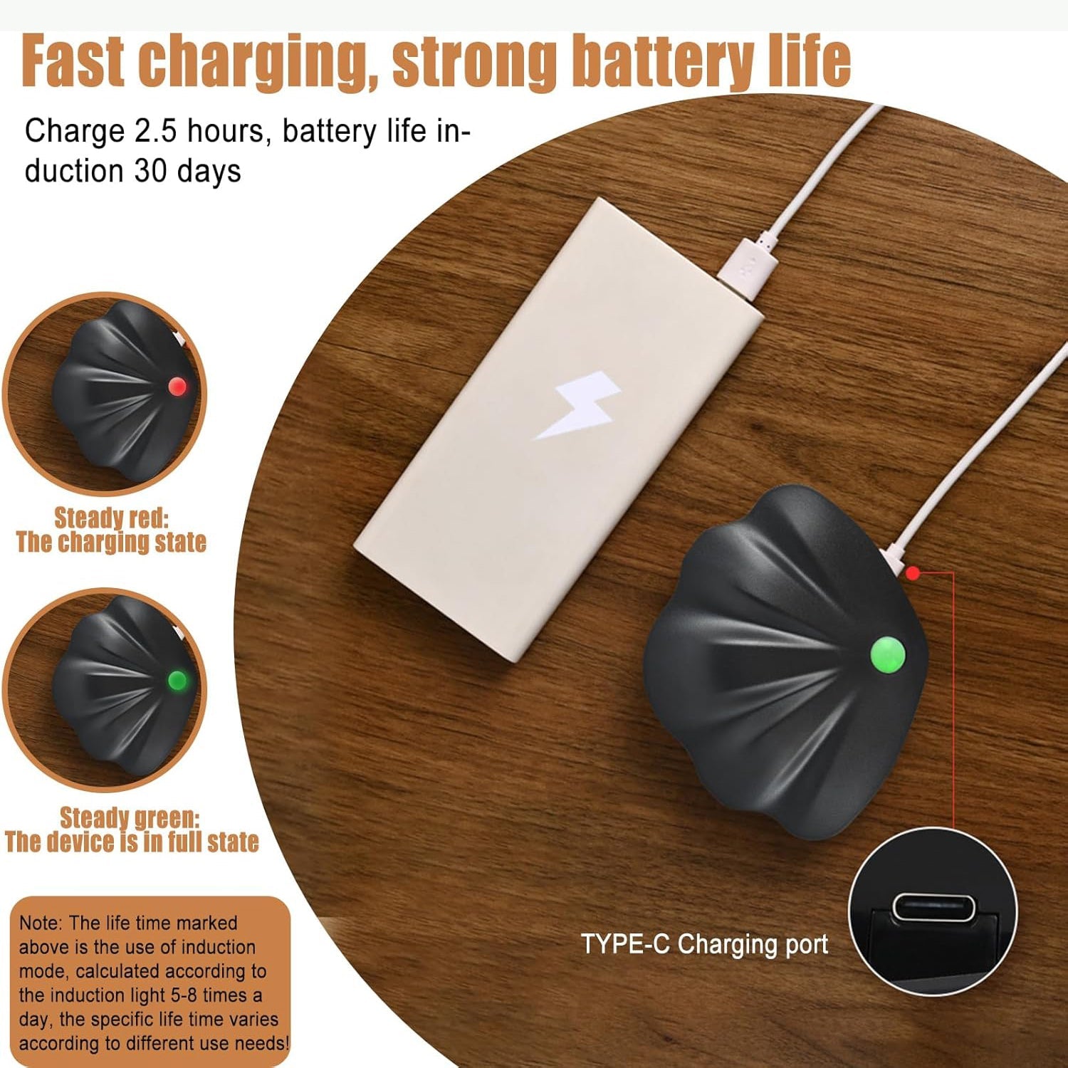 Motion activated shell-shaped lamp providing eye-comfort illumination