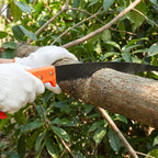 Two-piece garden pruning tool combo with ergonomic handles for comfort