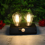 Solar Double LED Lamp illuminating a garden path at dusk.