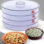White 4-compartment sprout maker by Tidy Table, perfect for growing healthy sprouts at home.