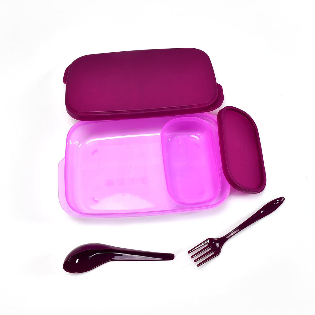 Food-grade plastic lunch box featuring a secure lid for lasting freshness.
