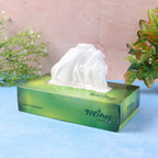 Close-up image of box of Freshee skin-friendly facial tissues