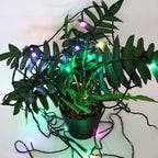 Multi-color decorative fairy string lights showcasing festive glow