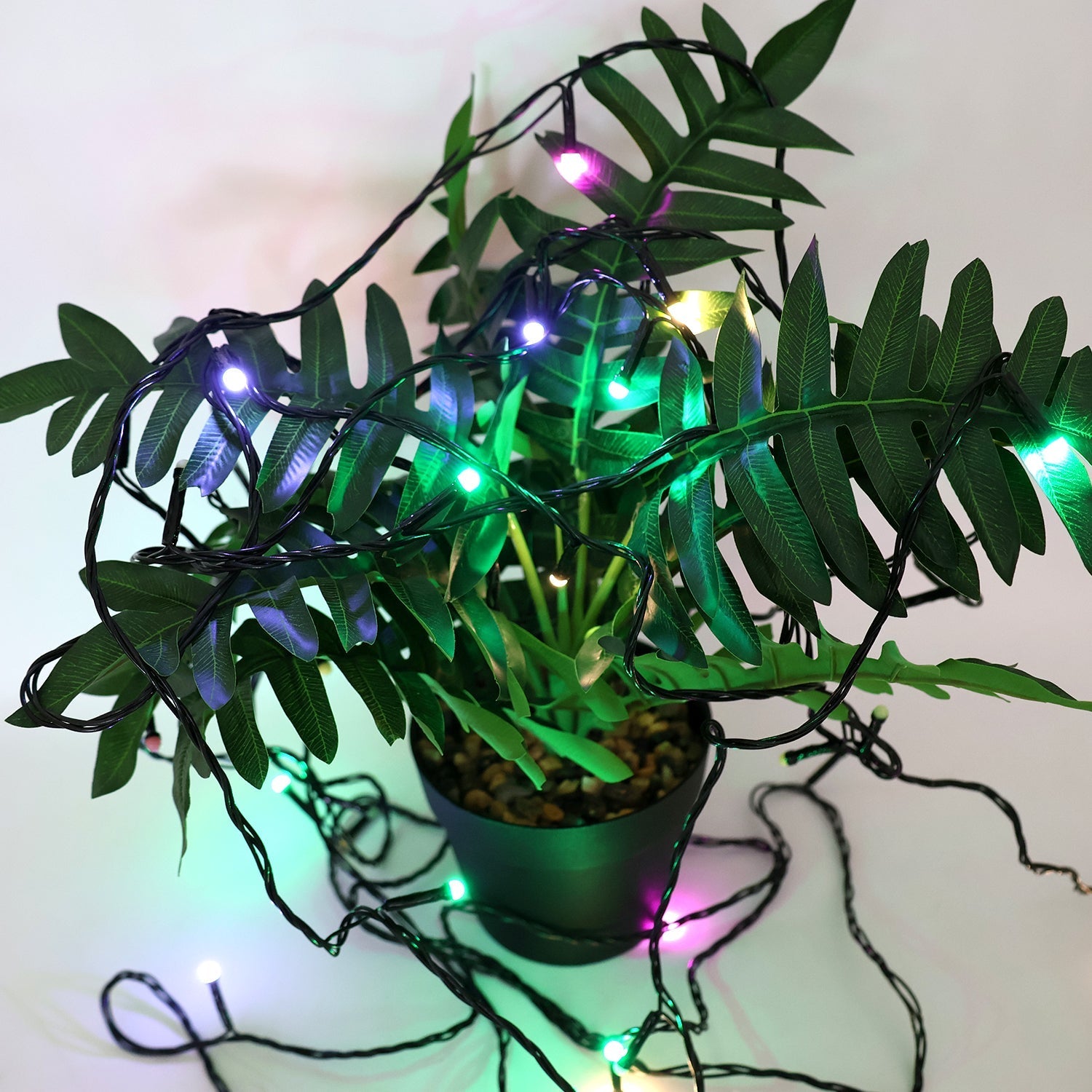 Multi-color decorative fairy string lights showcasing festive glow