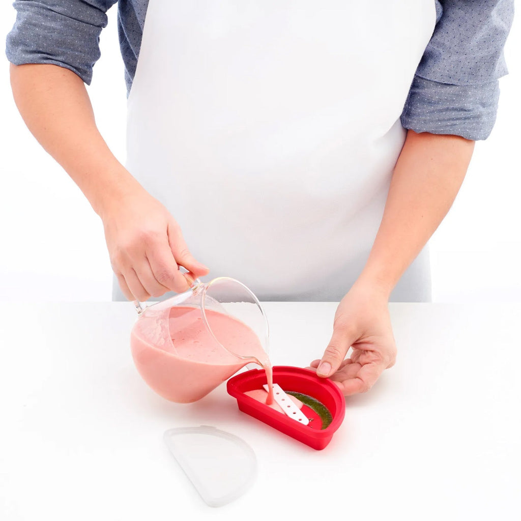 Various fruit juices poured into the watermelon silicone ice mould.