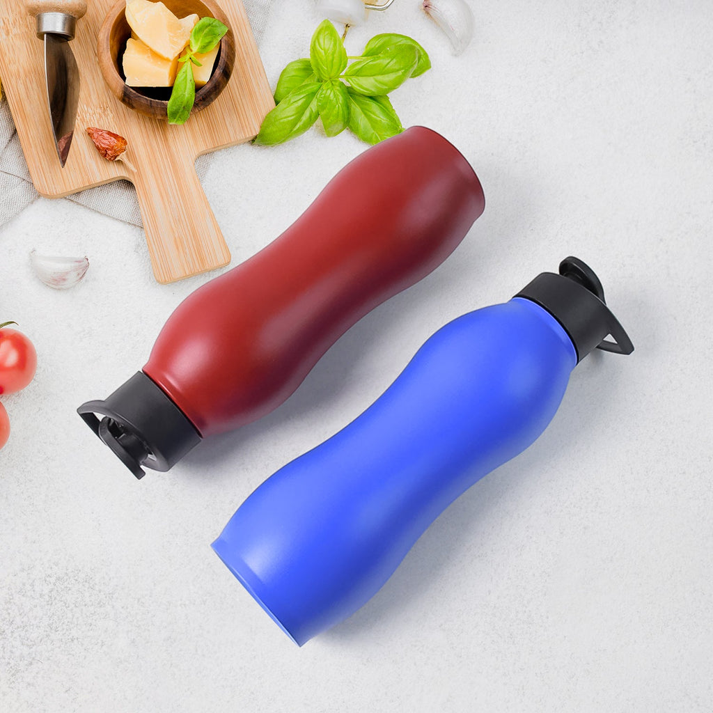 Stainless steel water bottle with leakproof BPA-free cap