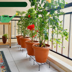 Urban outdoor balcony with metal rectangle flower plant stand showcasing plants