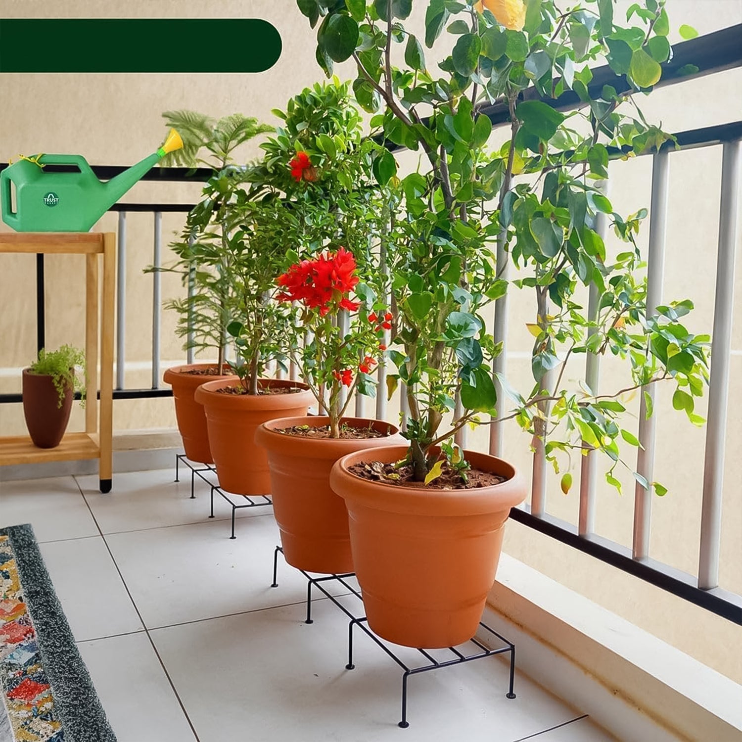 Urban outdoor balcony with metal rectangle flower plant stand showcasing plants