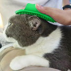 Scrub brush designed for pet fur cleaning and massage during grooming