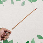 Detail view of Styleva Agarbatti Sticks packaging design.