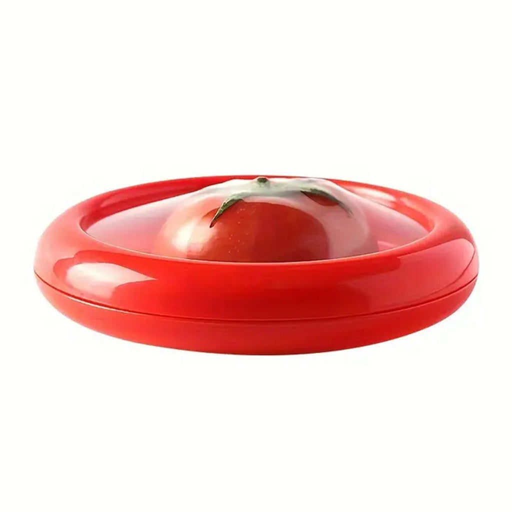 Top-down view of the empty green Fruit & Vegetable Container, revealing its smooth interior.