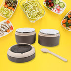 Detailed view of the premium stainless steel construction of the Ganesh lunch box.