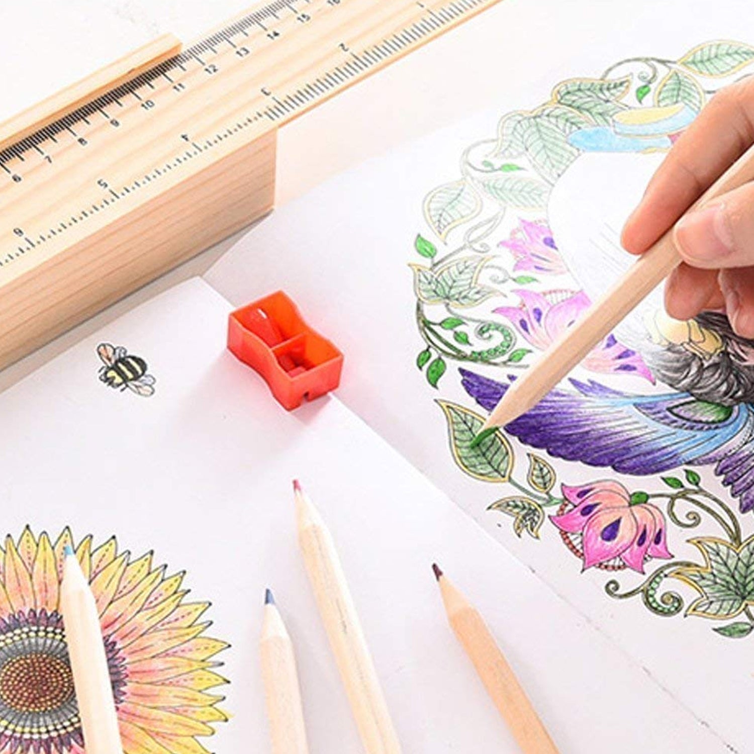 Top-down view of twelve colorful wooden pencils laid out in a fan shape.