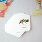 Close-up of realistic elephant animal flash card from educational set