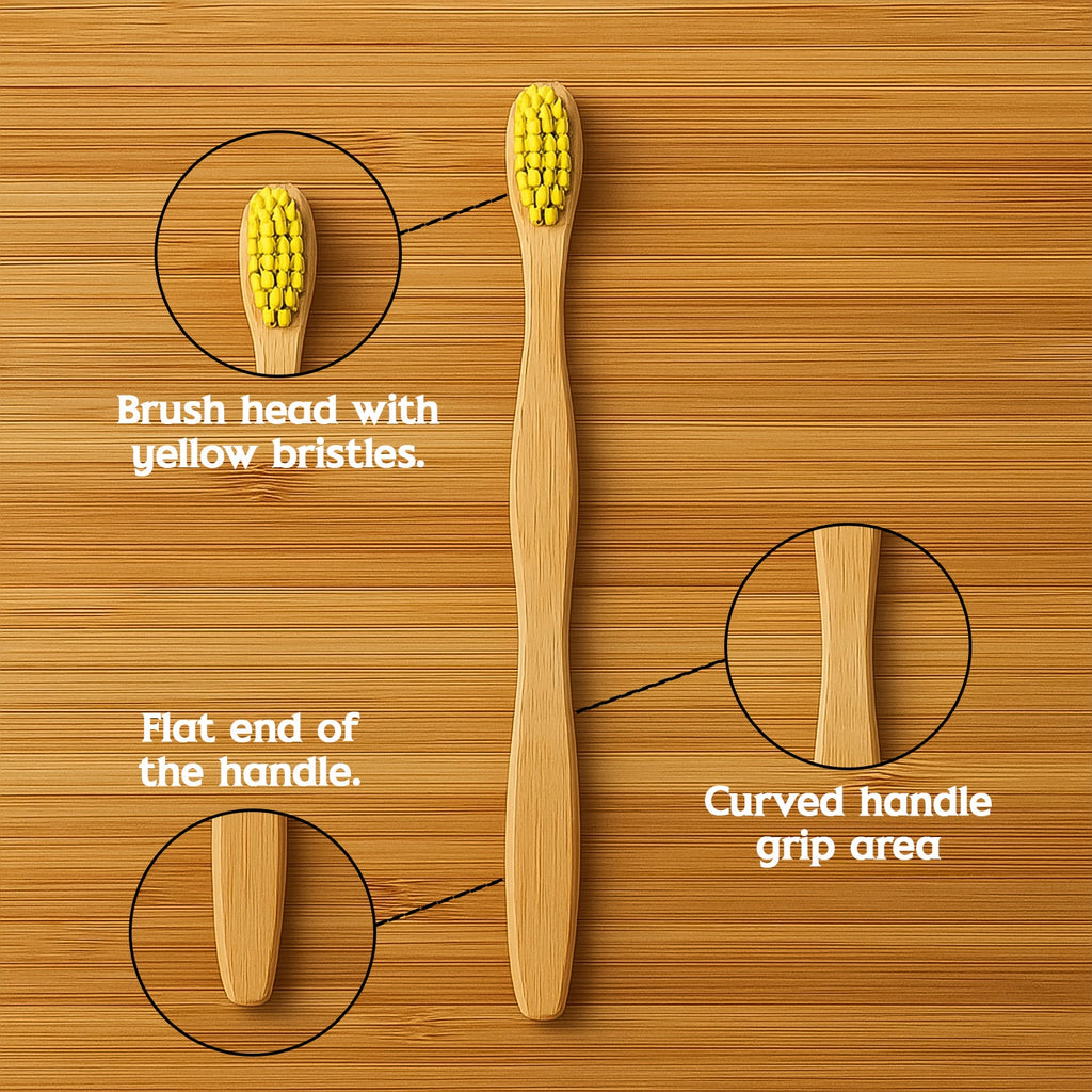 Sustainable bamboo toothbrush designed for effective plaque removal