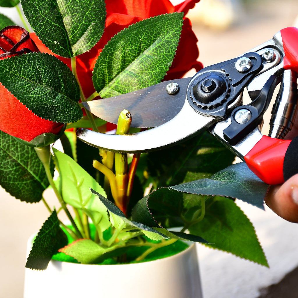 Gardener using red garden shears to prune a shrub.
