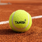 Sports tennis ball designed for professional training and recreational play