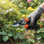 Close-up view of pruning shears and hand saw tools for gardening